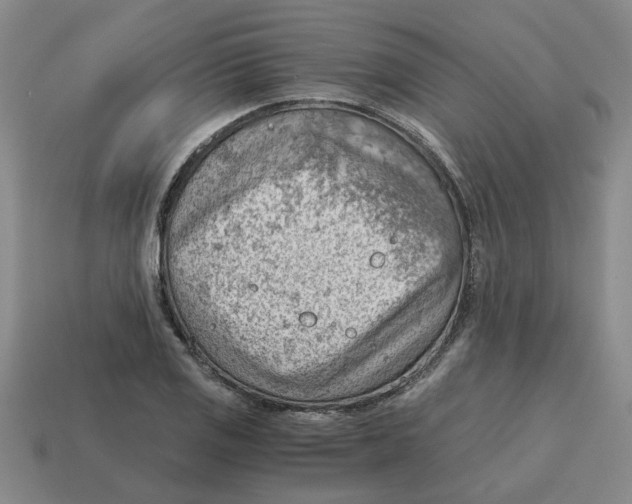X0000114431125200911061637