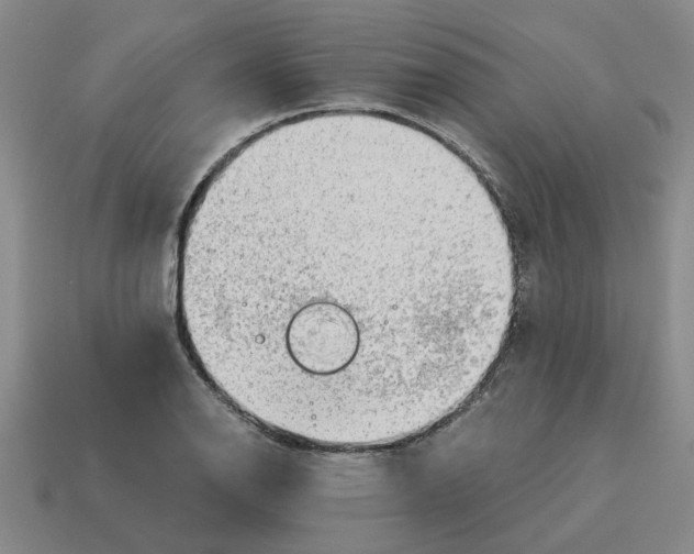 X0000114431126200911061637