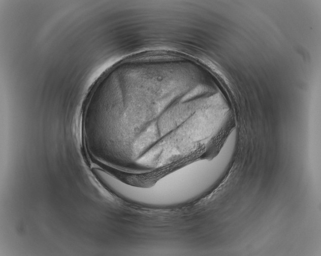 X0000114431127200911061637
