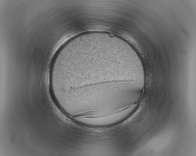 X0000114431130200911061637