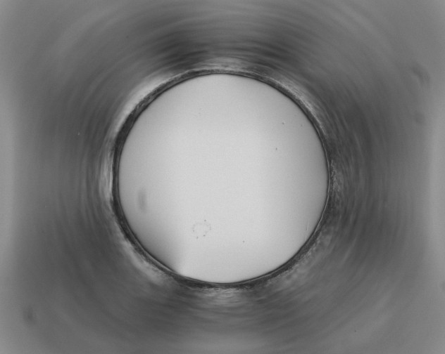 X0000114431131200911061637