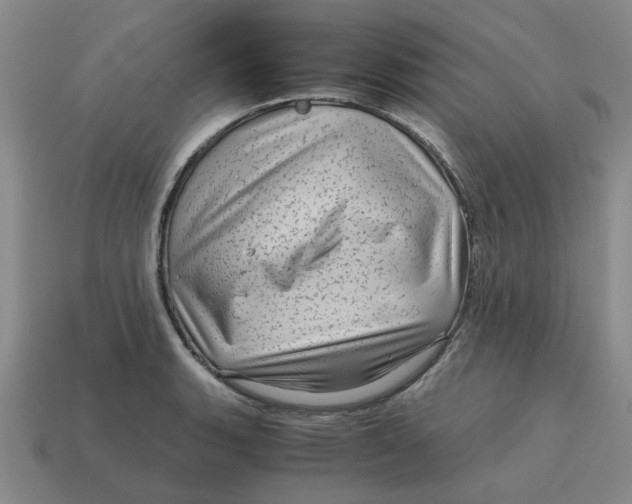 X0000114431135200911061638