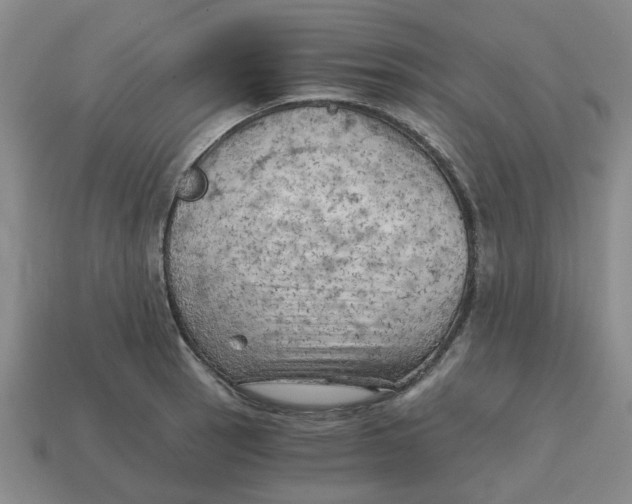 X0000114431137200911061638