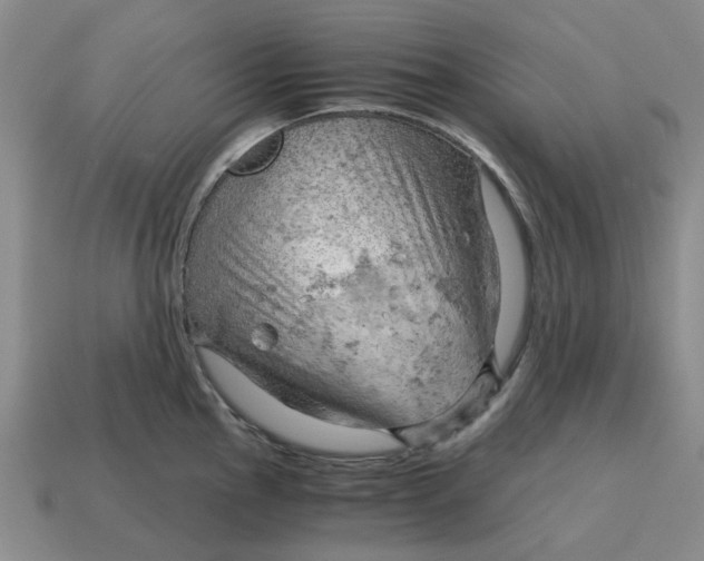 X0000114431145200911061638