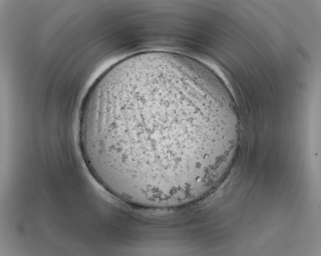 X0000114431147200911061638