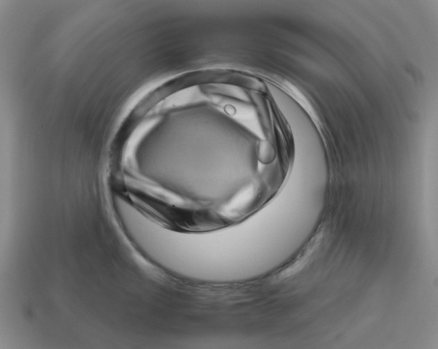 X0000114431149200911061638