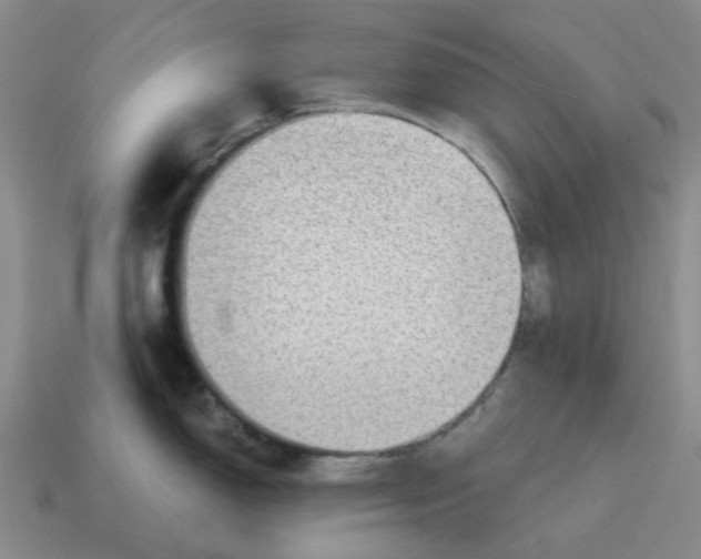 X0000114431150200911061638