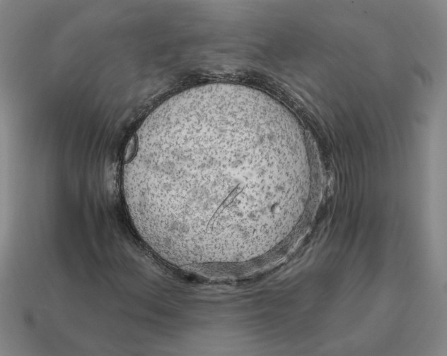 X0000114431156200911061637