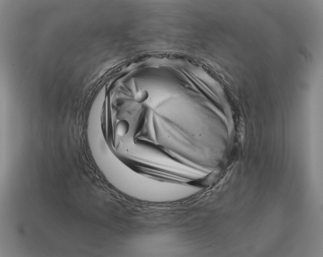 X0000114431157200911061637