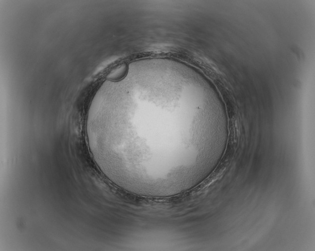 X0000114431158200911061637