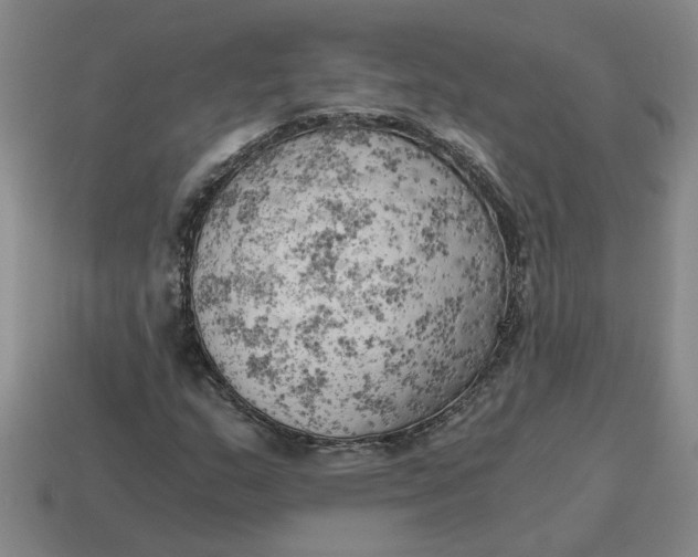 X0000114431159200911061637