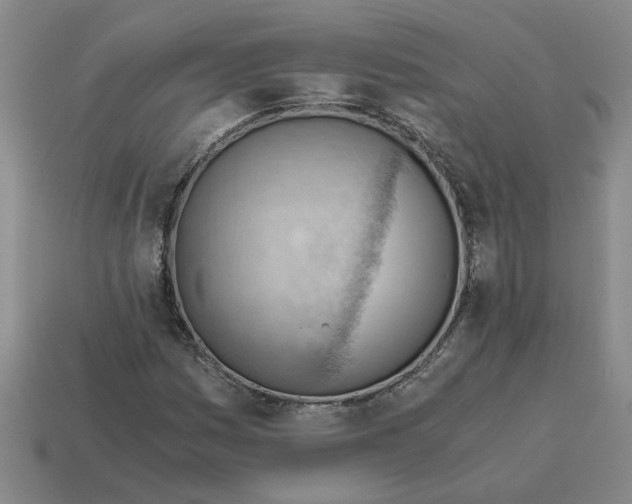 X0000114431161200911061637