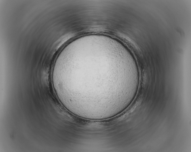 X0000114431162200911061637