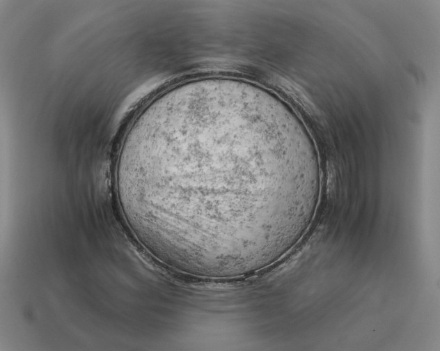X0000114431164200911061637