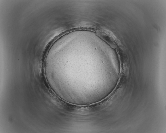 X0000114431165200911061637