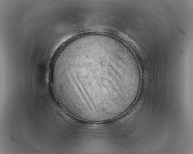 X0000114431166200911061637