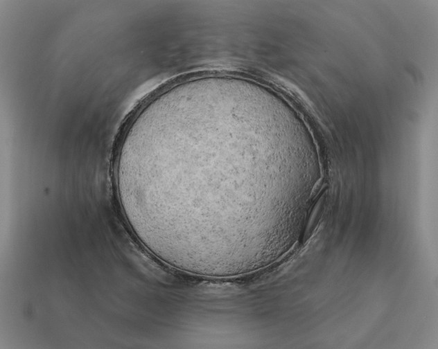 X0000114431168200911061637