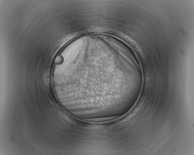 X0000114431170200911061637