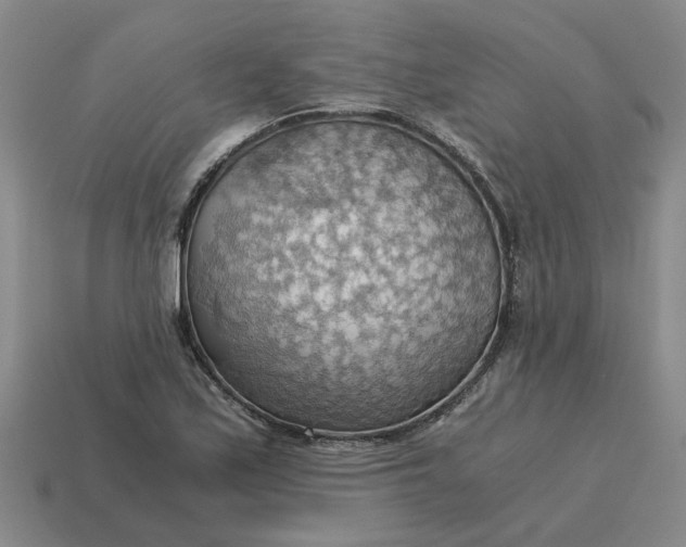 X0000114431171200911061637