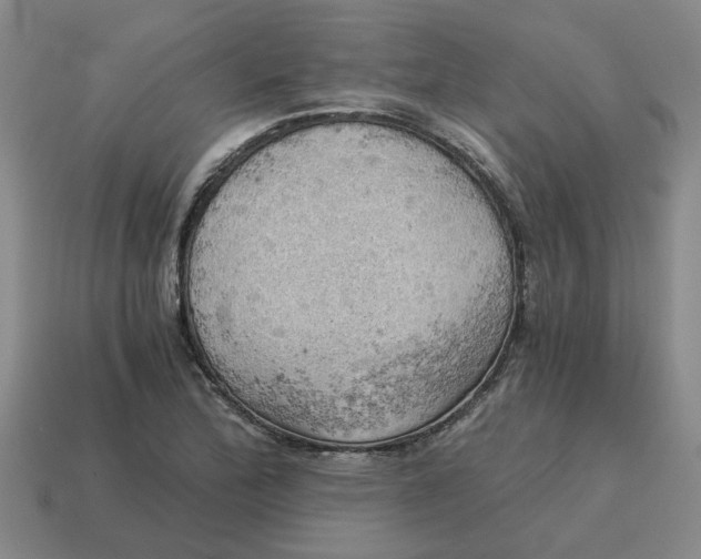 X0000114431172200911061637