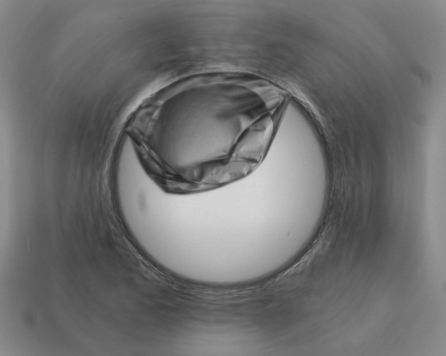 X0000114431173200911061637