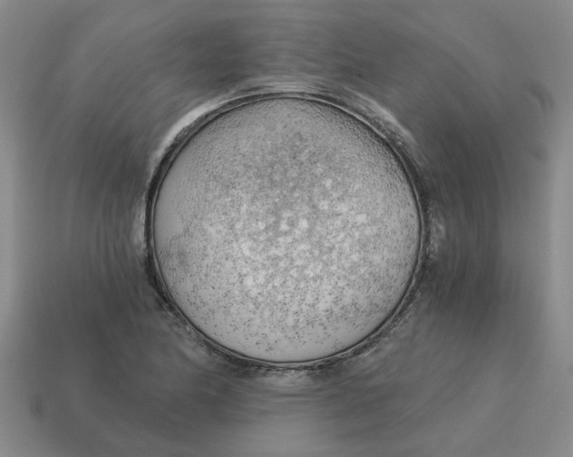 X0000114431174200911061637