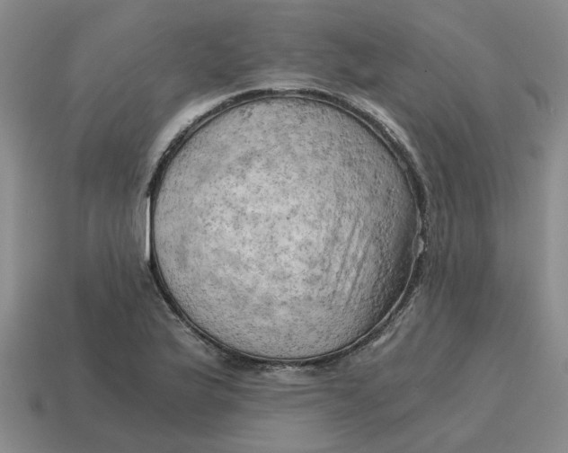 X0000114431175200911061637