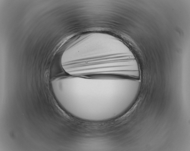 X0000114431177200911061637