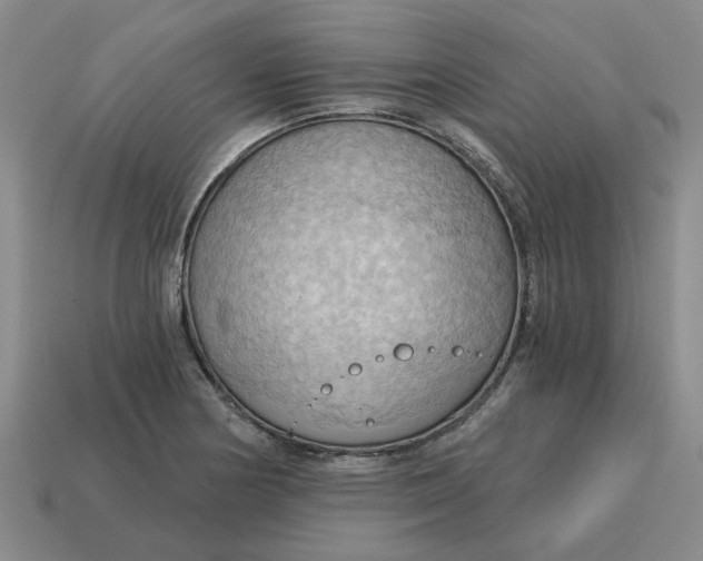 X0000114431178200911061637