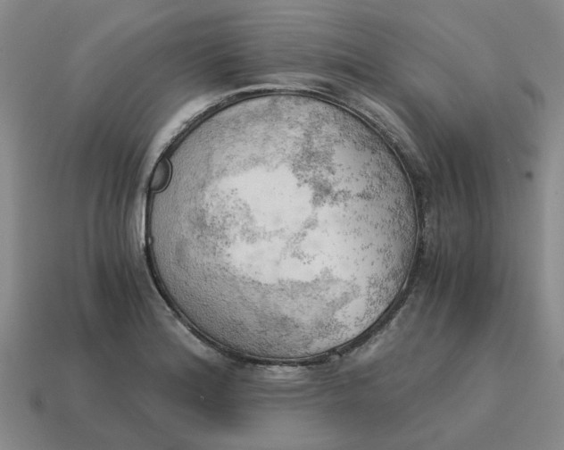 X0000114431180200911061637