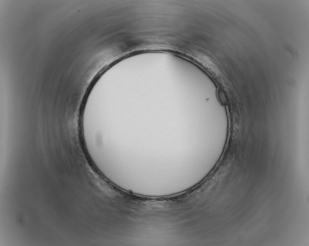 X0000114431181200911061637