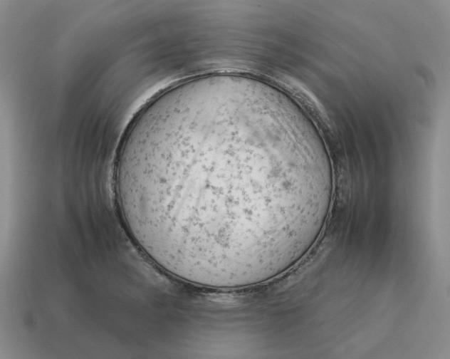 X0000114431182200911061637