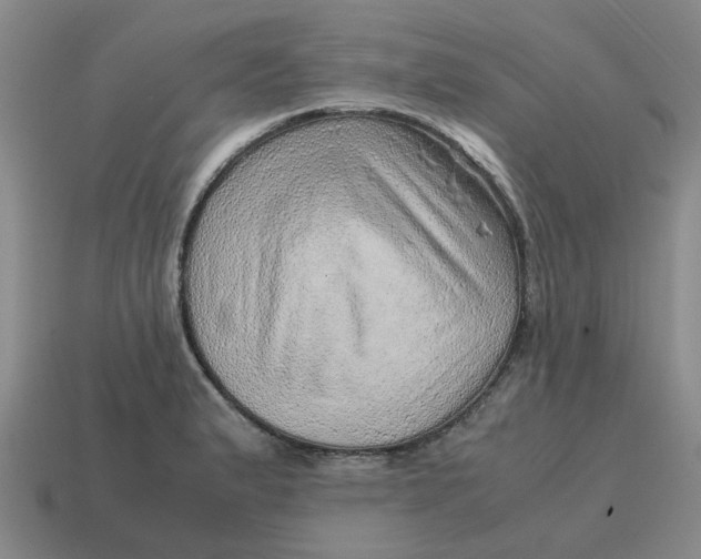 X0000114431183200911061637