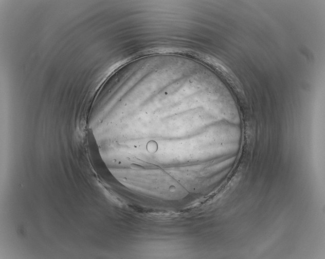 X0000114431185200911061637