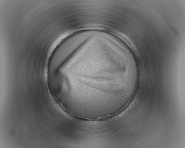 X0000114431188200911061637