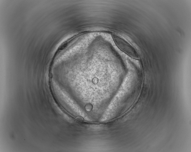 X0000114431189200911061637