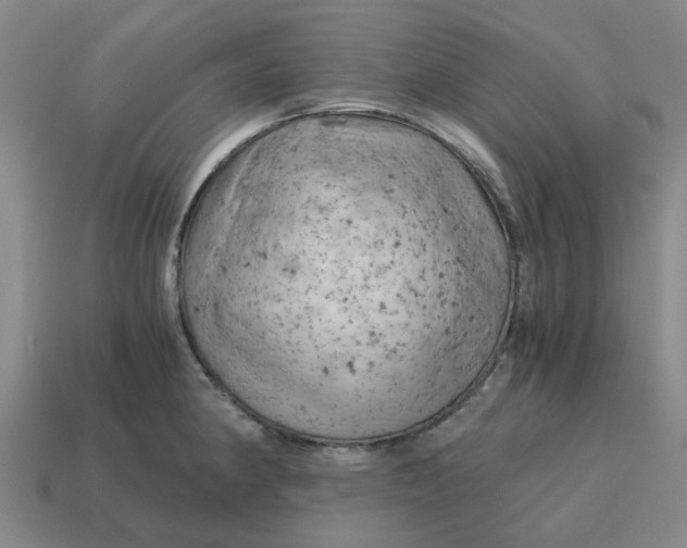 X0000114431190200911061637