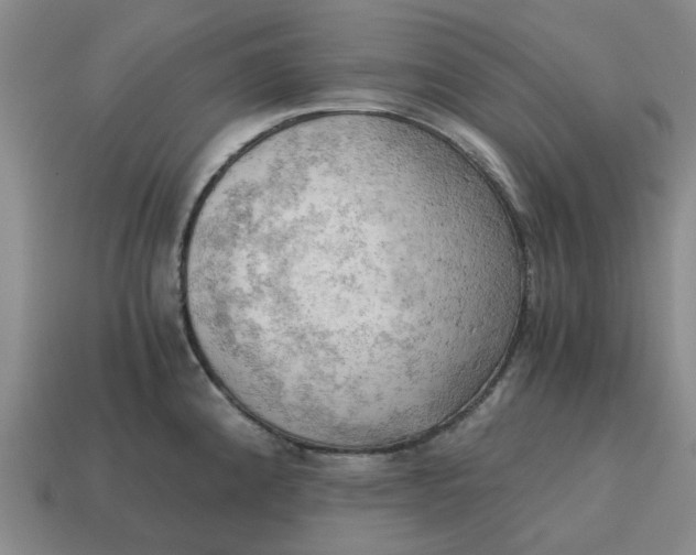 X0000114431192200911061637