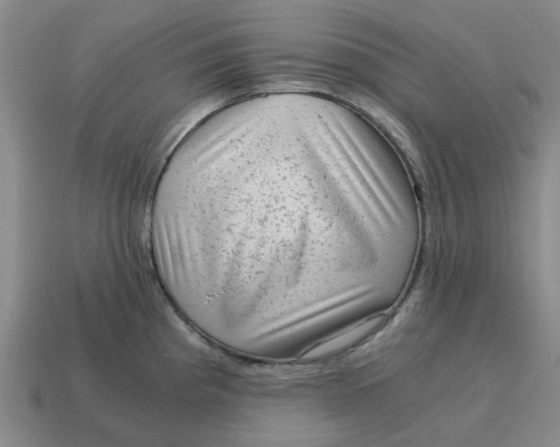 X0000114431193200911061637