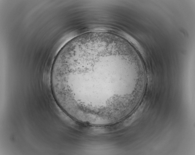 X0000114431194200911061637