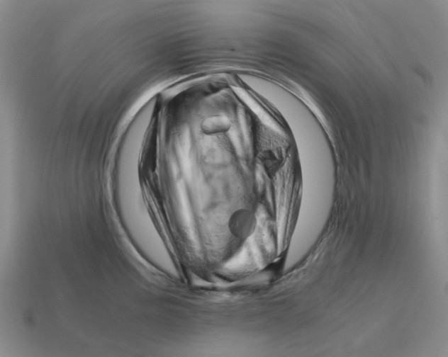 X0000114431195200911061637