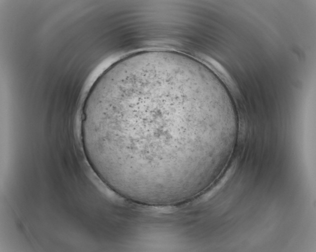 X0000114431196200911061637