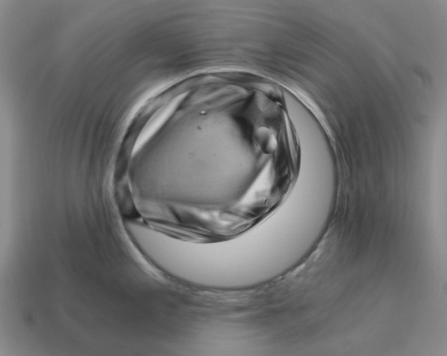 X0000114431197200911061637