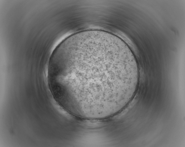 X0000114431198200911061637