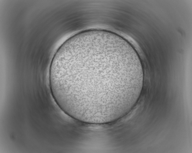 X0000114431199200911061637