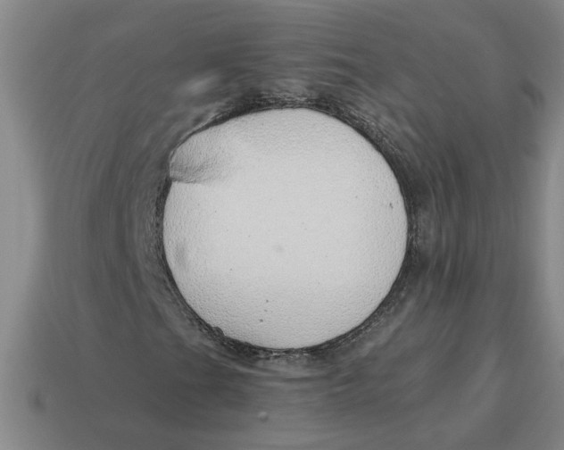 X0000114431201200911061636