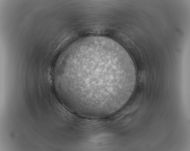 X0000114431202200911061636