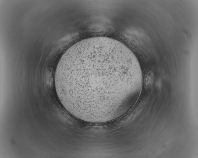X0000114431204200911061636