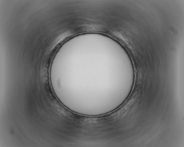 X0000114431211200911061636