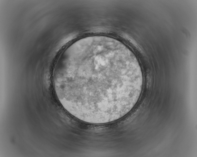 X0000114431213200911061636